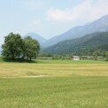 travnik-v-ozadju-gore