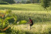 cycling