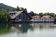 Hotel bor and Hrib Castle